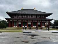 🦌🏯 Kōfuku-ji Temple Weekend Escape: Ancient Wonders & Deer Encounters
