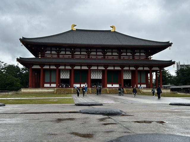🦌🏯 Kōfuku-ji Temple Weekend Escape: Ancient Wonders & Deer Encounters