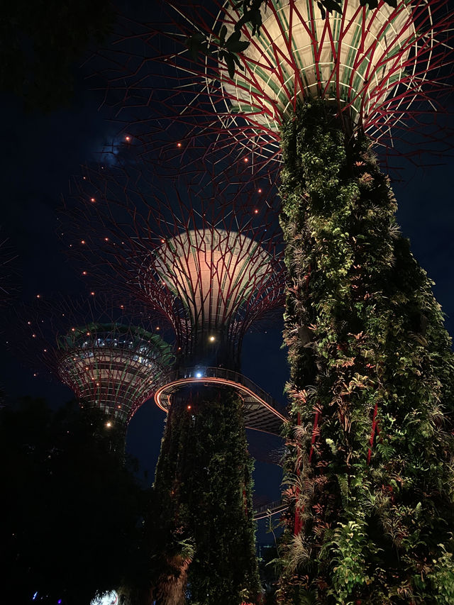 KL🇲🇾 to Singapore 🇸🇬 in 24 Hours: A Budget-Friendly Sprint 