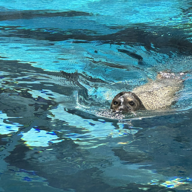  札幌圓山動物園：北國生態之窗
