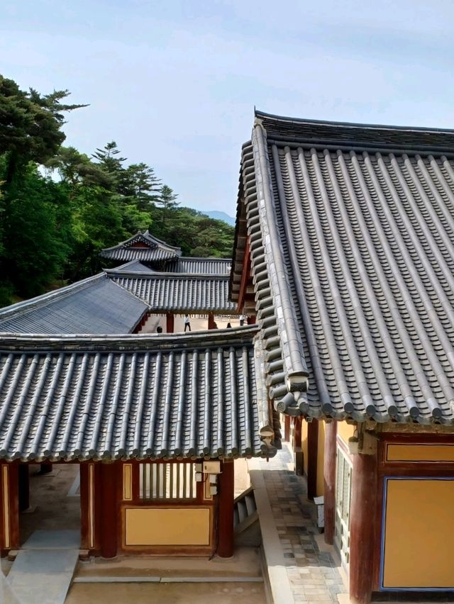 온 가족이 함께 즐기는 역사 여행지, 불국사