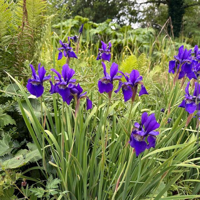 Oxford University & Botanic Garden, Oxford