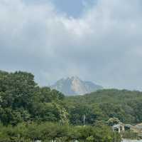 🏕️ 서울 글램핑의 새로운 매력, 무수아취에서 만난 힐링 데이 ☀️