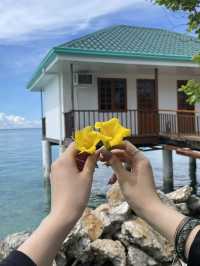 🌊 세부 바다 위 하루, 호핑투어 🐠☀️