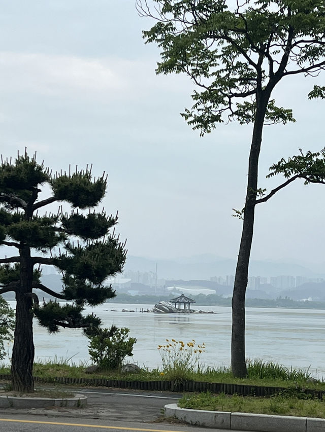 여름, 바다, 푸르름