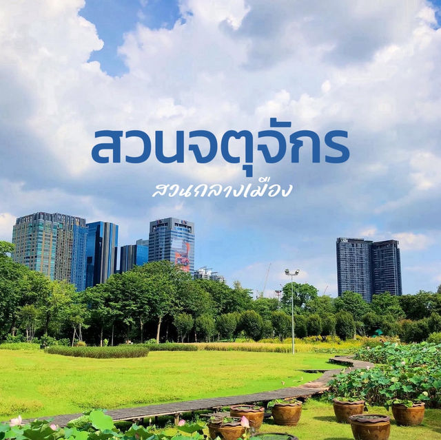 สวนจตุจักร สวนที่ใครๆก็ชอบไป 💚✨