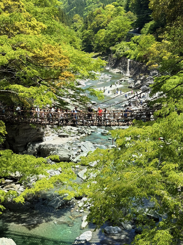 德島｜心跳加速產生戀愛錯覺的橋？ 日本三大奇橋祖谷藤蔓橋