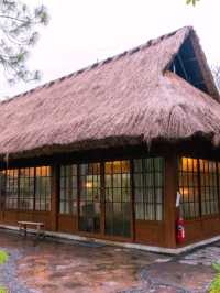 Nekoemon Cafe Chiangmai