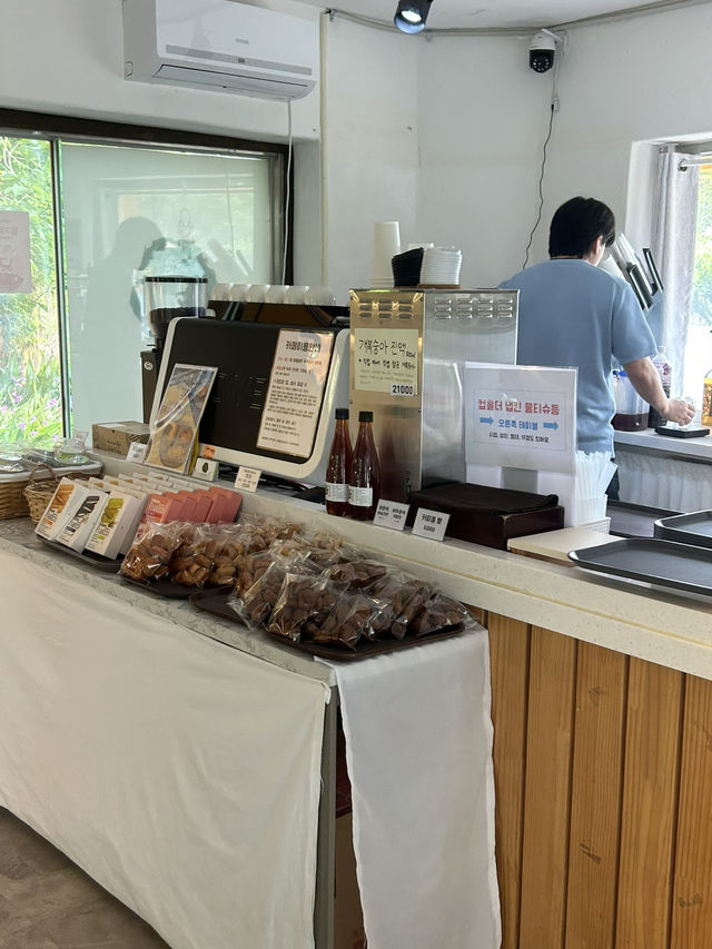 🌲 숲과 바다의 조화, 안녕나무야 카페