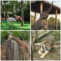 【中国/上海/上海野生動物園】希少な野生動物を見に行こう！