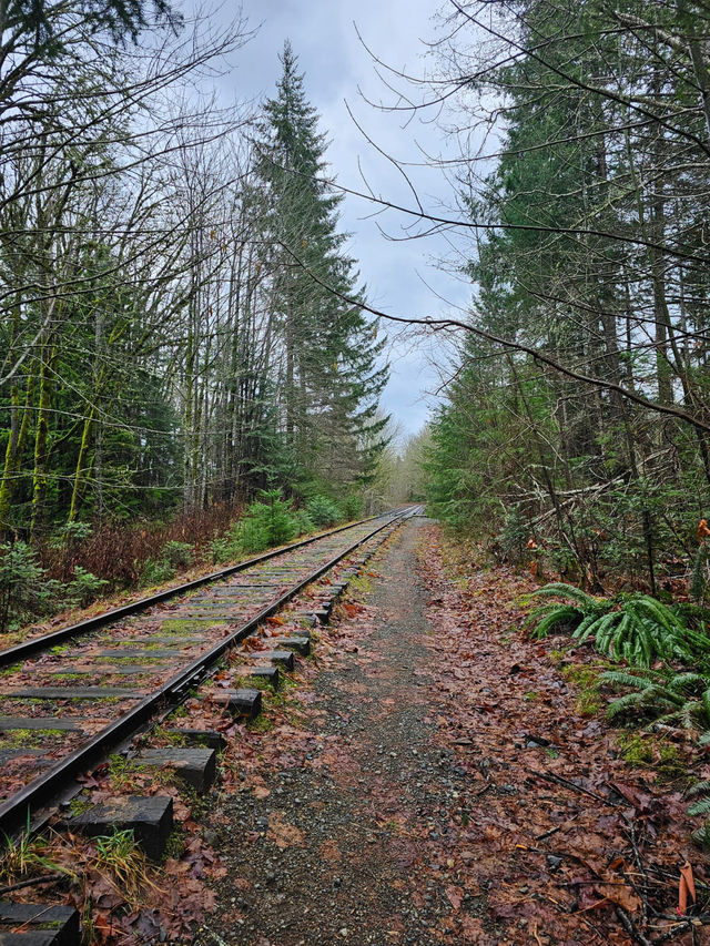 Canada - Vancouver, Vancouver Island, and some in Montreal. 