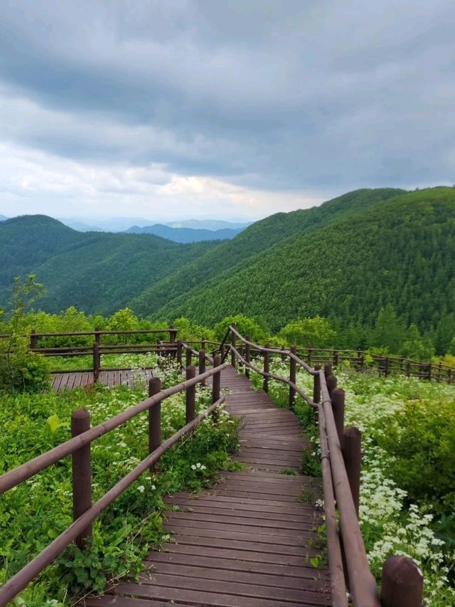 Nature’s Hidden Chill Spot