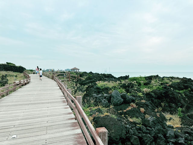 “나는 🌵 월령마을이 👍 제일 좋았어!” 