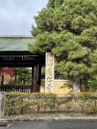 🍂【京都 祇園】心に風が吹くような静けさ。「建仁寺」で、禅と美の時間を🌬️🪷 