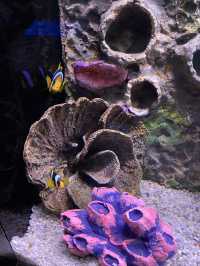 อควาเรีย ภูเก็ต (Aquaria Phuket) 