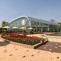 Korea | Suwon Yeongheung Arboretum – A Green Escape