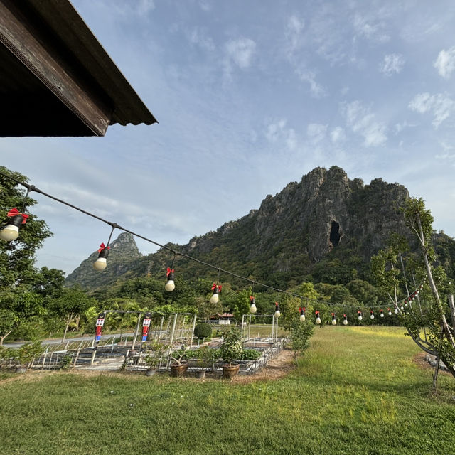 ร้านเชฟเต้บ้านไร่หาปักหมุดในgoogleได้เลย