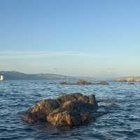 Wellington 1 Days Itinerary