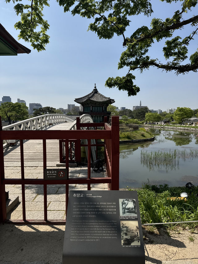 🌸 A Dreamy Birthday Moment at Gyeongbokgung Palace, Seoul 👘🎂