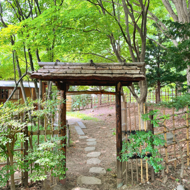 삿포로 여름, 푸르른 나카지마공원🌳💛