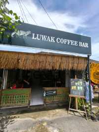 🇮🇩Have you tried Civet Poop Coffee?💩Luwak Coffee
