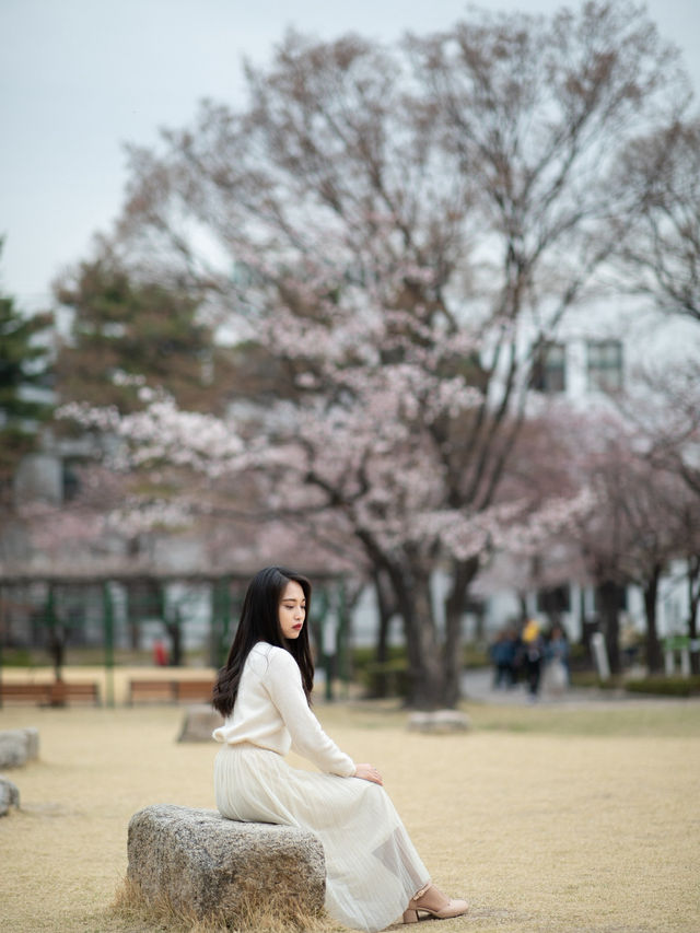 야외데이트하기 좋은 이곳