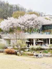 Puddle House