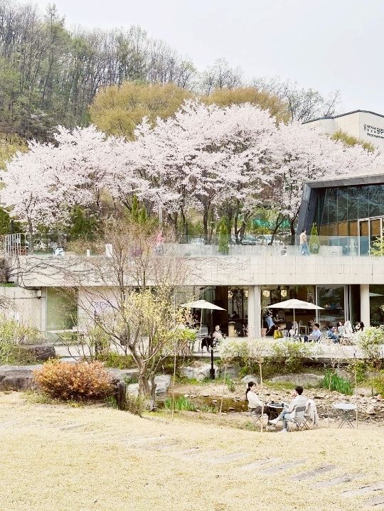 Puddle House