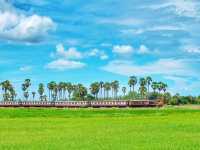 窓の外に広がるペッチャブリーの田園風景が美しすぎた。🌴☀️