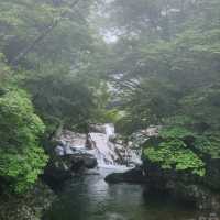 Nature & Vibes Near Sansuhwa Pension