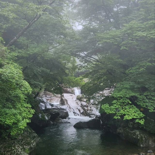 Nature & Vibes Near Sansuhwa Pension
