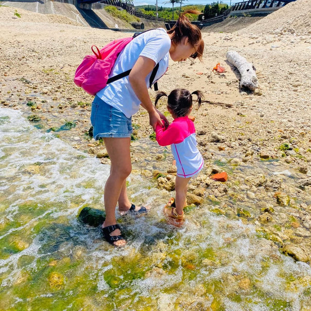屏東車城 🌊後灣沙灘 大自然的生態教室 還有好多寄居蟹