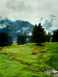 Summer Escape to Mürren – Alpine Magic in Mighty Weather