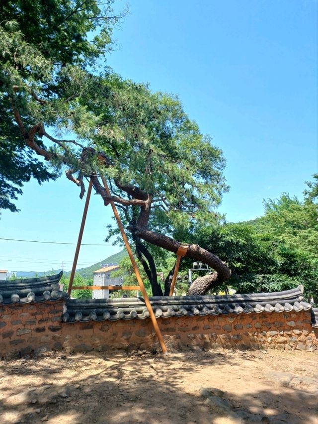 사계절 풍경을 담은 무진정 산책길