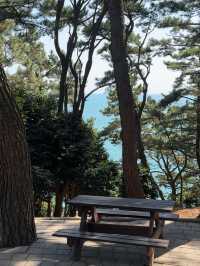 【釜山】 松島🏝️今注目を集めている松島の観光スポット