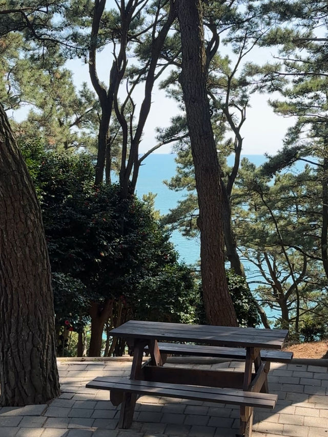 【釜山】 松島🏝️今注目を集めている松島の観光スポット