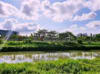 Reservoir Park
