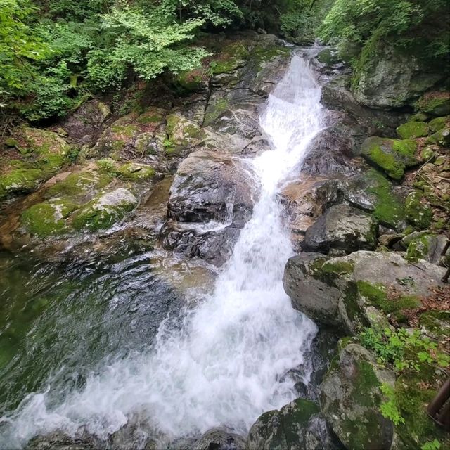 Chiaksa Steep, Sweaty, and So Worth It 