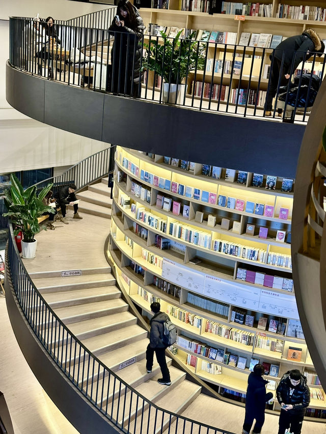 Literary oasis in the city: where books breathe in golden light