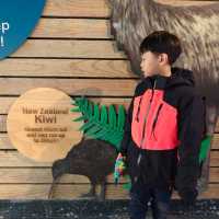 Enchanting Moments at Queenstown Kiwi Park
