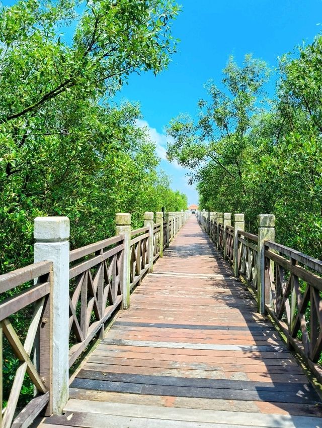 Tanjung Piai: Asia's Southernmost Secret – Discover Where the Continent Ends!