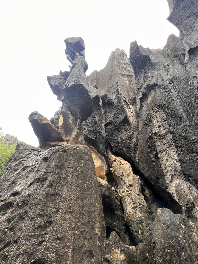 Yunnan, a truly unique and wonderful region!