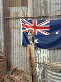 Caversham Wildlife Park