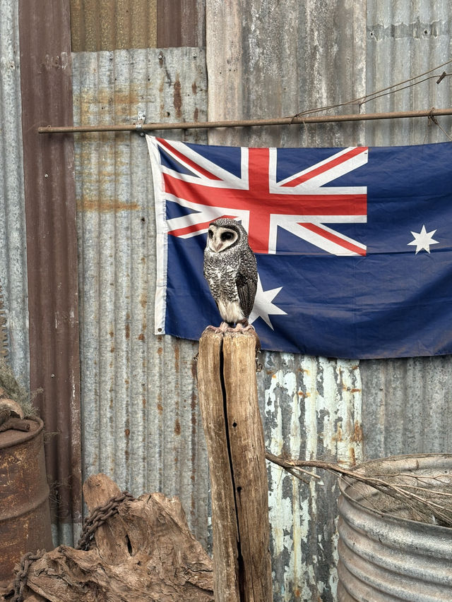 Caversham Wildlife Park