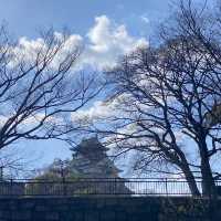 Osaka custle : ปราสาทโอซาก้า