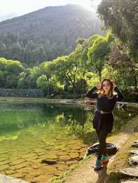Discover the Colorful Charm of Butterfly Park – A Hidden Gem in Yunnan