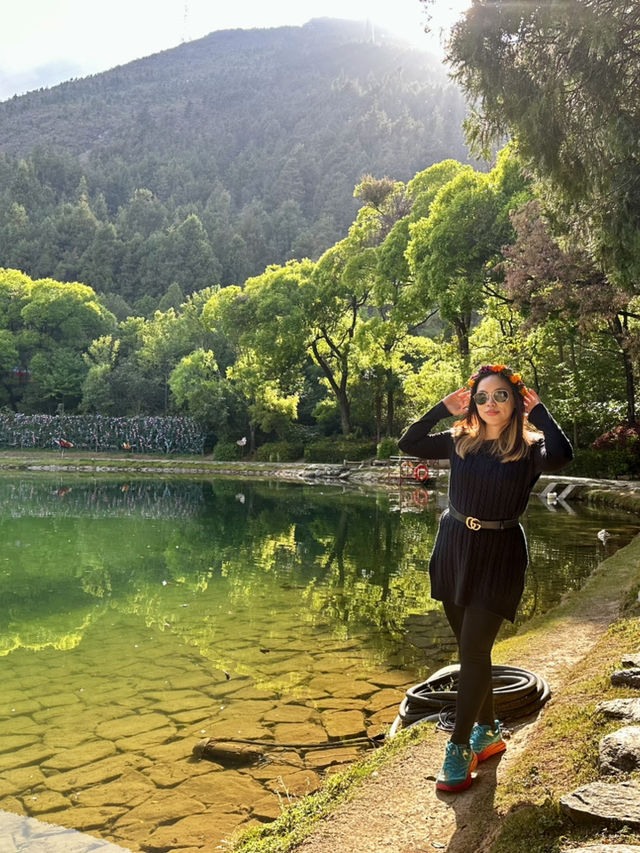 Discover the Colorful Charm of Butterfly Park – A Hidden Gem in Yunnan