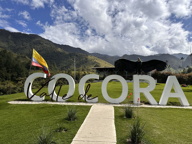 【ココラ渓谷｜Cocora Valley・ワックスパームの森】