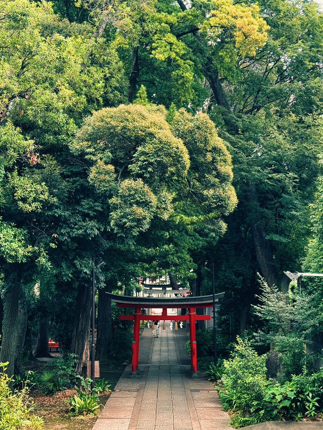 【自由が丘】心を整える最強パワースポット⛩熊野神社