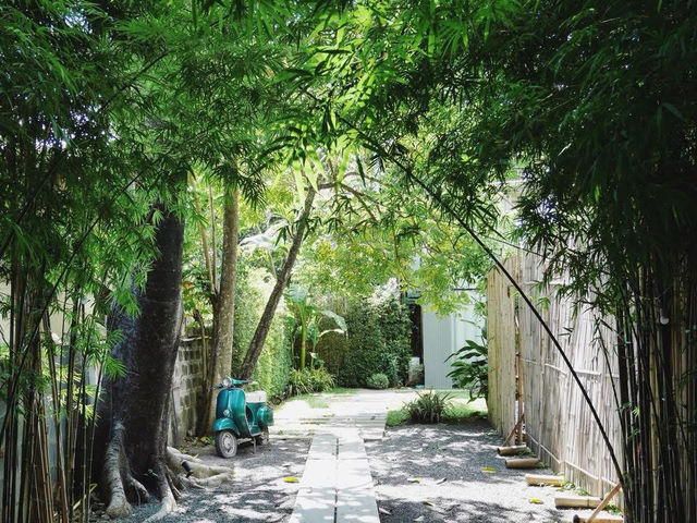 รีวิว “ผาช่อ” – แกรนด์แคนยอนเมืองไทยกลางหุบเขาเชีย
